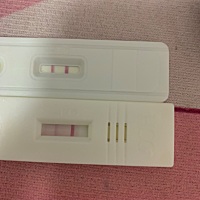 这是有还是没有啊