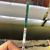 月经已经退出了10天，图片是第七天测出来的，能帮我看看是有了吗
