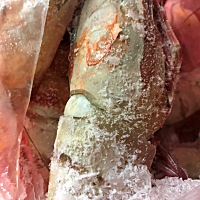 我们添加辅食一直都有给宝宝吃海虾，我们是沿海的，平时给宝宝吃的就算挺大的，量有控制，我想问的是，...