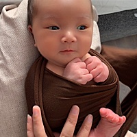 每天都在不停变化、萌得不得了、越来越可爱😍 出生6天 拍照裹成小团子了 出生28 睡着样子^_^怎么那么...