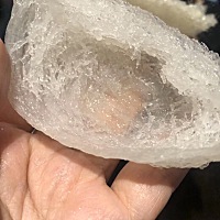 这一盏泡出来胖胖的，晶莹剔透很漂亮，都舍不得吃了