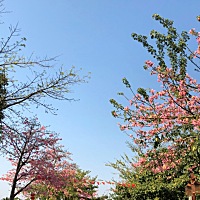 心情很烦，本来两个孩子已经很烦了，大的一年级要辅导，小的刚五个月，但是却再加上一个难以沟通的老公...