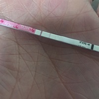 11月19号来的月经，这几天头晕晕还呕吐。是不是怀孕了，感觉没有怎么快吧