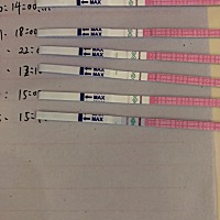 懂得帮忙看下这个是快要到强阳了吗？你们都是几分钟看结果的