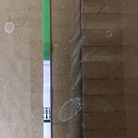 粉粉的一条