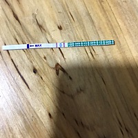 圣诞大礼包一份已签收！
