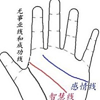 女人手相上没有事业线代表什么？ 没有事业线，不代表没有事业，可能是心不在这份工作上，找不到自己感兴...
