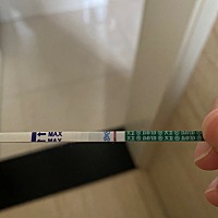 连测3天大卫了，还不是很明显的红杠，不知道这是不是成功了呢，客服让我2天后再测。等的好焦虑，有同款...