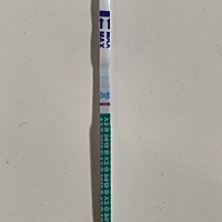 这样算怀孕吗？刚好排卵日过了11天