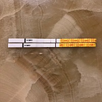 正常是18号来大姨妈，但是等不及了，上面的是昨天早上测的，下面的是今天早上测的，是怀孕了么？