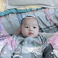 猪宝宝，妈妈快上班噜
