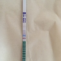 末次月经11.18日，因为12.14周六我做了一个关于宝宝的梦，因为起床晚已经不算是晨尿了吧，所以就测了下...