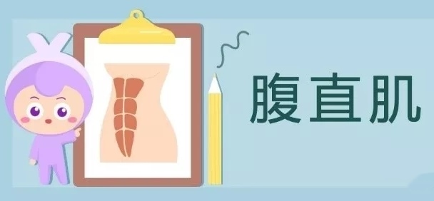 如何自我检测腹直肌分离
腹直肌位于腹前壁正中线两侧，被包埋于腹直肌鞘内，为上宽下窄的带状多腹肌，左右腹直肌内侧以腹白线相隔，起自耻骨联合和耻骨嵴，肌纤维上端起自第5～7肋软骨前面和胸骨剑突，下止于耻骨上缘(耻骨结节与耻骨联合之间)。
腹直肌分离就是指左右两条腹直肌向两边分开了。具体分开到什么程度，通过手诊即可判断：
Step1：平躺，膝盖弯曲，露出腹部。
Step2：以脐水平面为例，将一只手的两根手指并拢，指尖垂直腹部轻轻插入。因为腹直肌为由上往下的长条形，所以从肚脐上2cm到肚脐下2cm每个平面分离的距离都要检测。
Step3：指尖插入的同时，将头及肩膀从地面抬起，感受腹直肌对手指产生挤压感。
Step4：放几指进去后，能感受到挤压感，就认为测量结果为几指。如果手指不够的话，可以两指分开，找到 腹直肌的内侧缘，用尺子量内侧缘之间的距离。