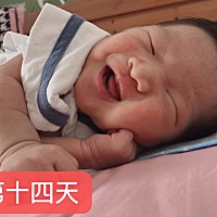 本命年来了个猪宝宝