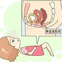 腹压是个小坏蛋，盆腔和腹腔挨着的，腹部的压力很直接传给盆底肌。保护盆底肌，就要学会很好的跟腹压抗...