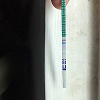 这样是怀孕了吗？