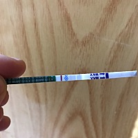 这是什么情况，是怀孕了还是没怀孕