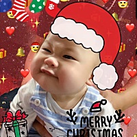 小小子的圣诞节🎄