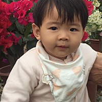 宝宝睡的晚，会不会是睡觉的时间安排不好呢，宝宝中午午睡是下午接近3点到5点半左右，之后8点左右又要小...