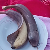 月子想吃水果，结果老妈就给我吃这样的水果