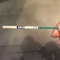 刚备孕2个月，12月10日排卵，这月例假已推迟，试纸显示是怀孕了吗？