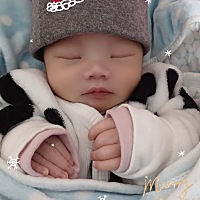 12月16号乔治一个，每天都是除了肚子饿，还有拉屎撒尿会醒，其余时间都是在睡觉💤