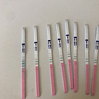 今天一直强阳，但是我不知道是强阳安排还是强阳转弱阳安排，求宝妈们帮我看看，最近这几天都在安排，会...