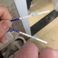 前两张是昨天测的，后两张是今早测的。不知道为什么用带有壳的那个测第二条杠基本淡到可以忽略。啊。。...