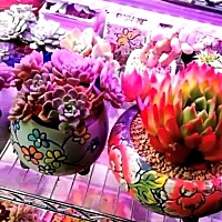 你说东，他或他们永远在撤西！价值观思想完全不同，连一个大致水平都达不到，充满狭隘，斤斤计较，没有...