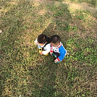脐带绕颈可怕吗？孕妈妈看到的时候，担心吗？普遍都非常担心。为什么呢，脐带绕颈？什么鬼啊？是胎儿在...