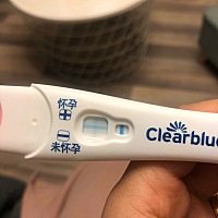 麻烦大家帮我看看 这是怀孕了么