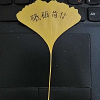 年终总结暨下年展望：2019小确幸（积分入学、🚗置换、通过中级、喜提二宝、住房补助、个税返还），202...