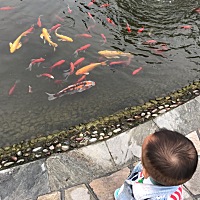 0-1岁是宝宝生长发育最快的阶段，其他任何阶段都不可能超越这个时期，我们也能感受到，宝宝是每个月都有...