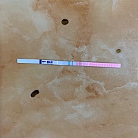 下午3.30分测试 未排卵