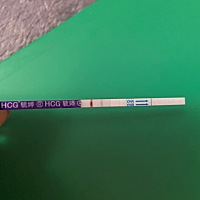 经期延迟半个多月，今天测了下，是怀孕了吗