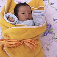 小可耐8天了，前天开始纯母乳喂养了，感谢苍天我依然是一头奶牛、盛产母乳。前几天奶粉喂养是真心累，现...