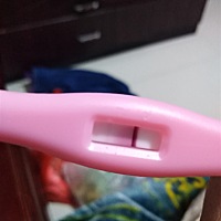 看看怀了没有