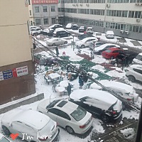 昨天下了一天的雪，看着孩子们开心的在雪里摸爬滚打，羡慕，躺在床上，看着身边睡着可爱的宝宝，看着窗...