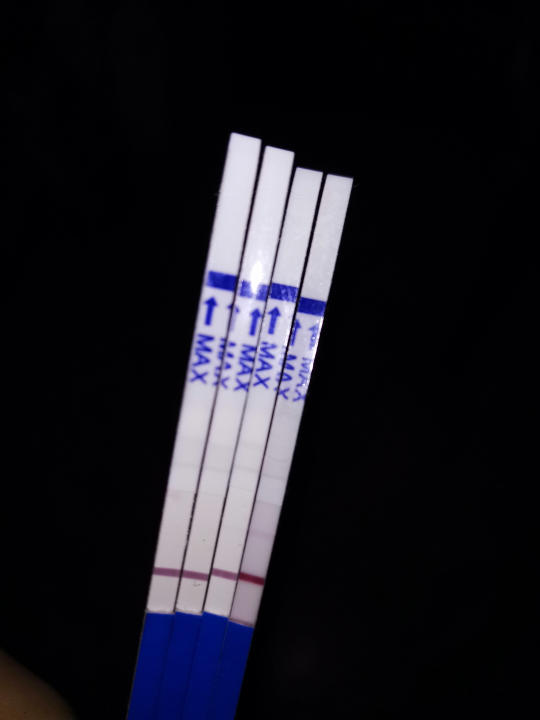最后一张试纸