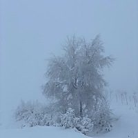 今天我要考试安全管理证，他陪我一起去考试地点，我们一起泡了温泉，然后他带我入住在最好的温泉山庄，...