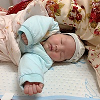 不知道为什么最近宝宝白天睡不醒，黑夜就不睡，白天打他都不醒，关灯法安静的环境也不睡，老是哭闹，该...