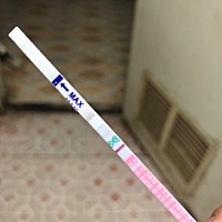 知道的说下呗 例假还有五天 ，为什么用排卵试纸测是两个印呀，难道我排卵不正常