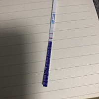 今天是测出来的第三天了，今天又验了一下，颜色比前两天深一点！谢谢你来到我身边！今天是你刚好30天！...