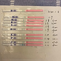 帮我看看是排卵了吗？ 由强转弱了，可是还没到排卵日呢