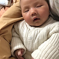 假装睡着不的小猪，也很可爱