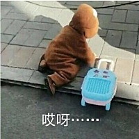 自己一个带。战战兢兢的终于熬过了前六个月，可以跟孩子有越来越多的互动了。还没来得及高兴。病毒性感...