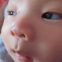 我母乳特别少这两天宝宝开始挑食了不怎么喝奶粉了，怕他吃不饱就给段母乳了，哎宝宝才50多天感觉很对不...