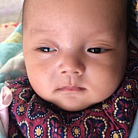 他姥把收藏了16、26年的花袄都给竹子穿身上了，他大姨说太接地气了😄