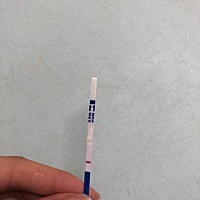 宝妈们，这是有了还是没有。
