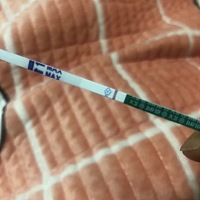 今天打卡第一天，大学期间就一直月经不调，一直到工作结婚，期间找过各种中医西医调理，同时作为医务人...